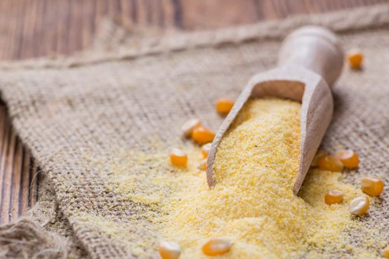 Cornmeal Marketto Grow at a CAGR of 3.9% from 2022 to 2031: Allied Market Research