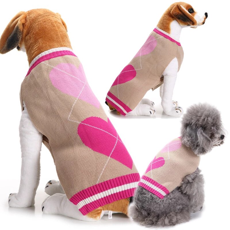 Global Pet Clothing Market Is Expected to Reach $7.66 Billion by 2031: Says AMR